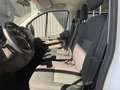 Ford Transit Custom FT 320 L1 Kombi Trend EcoBoost Plug Blanco - thumbnail 35