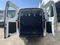 Ford Transit Custom FT 320 L1 Kombi Trend EcoBoost Plug Blanco - thumbnail 7