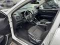 Renault Koleos 2,0dCI Intens 4x4*AUT.*NAVI*LED*AHK*UVM* Weiß - thumbnail 9