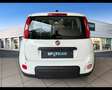 Fiat Panda 1.0 FireFly Hybrid Weiß - thumbnail 4