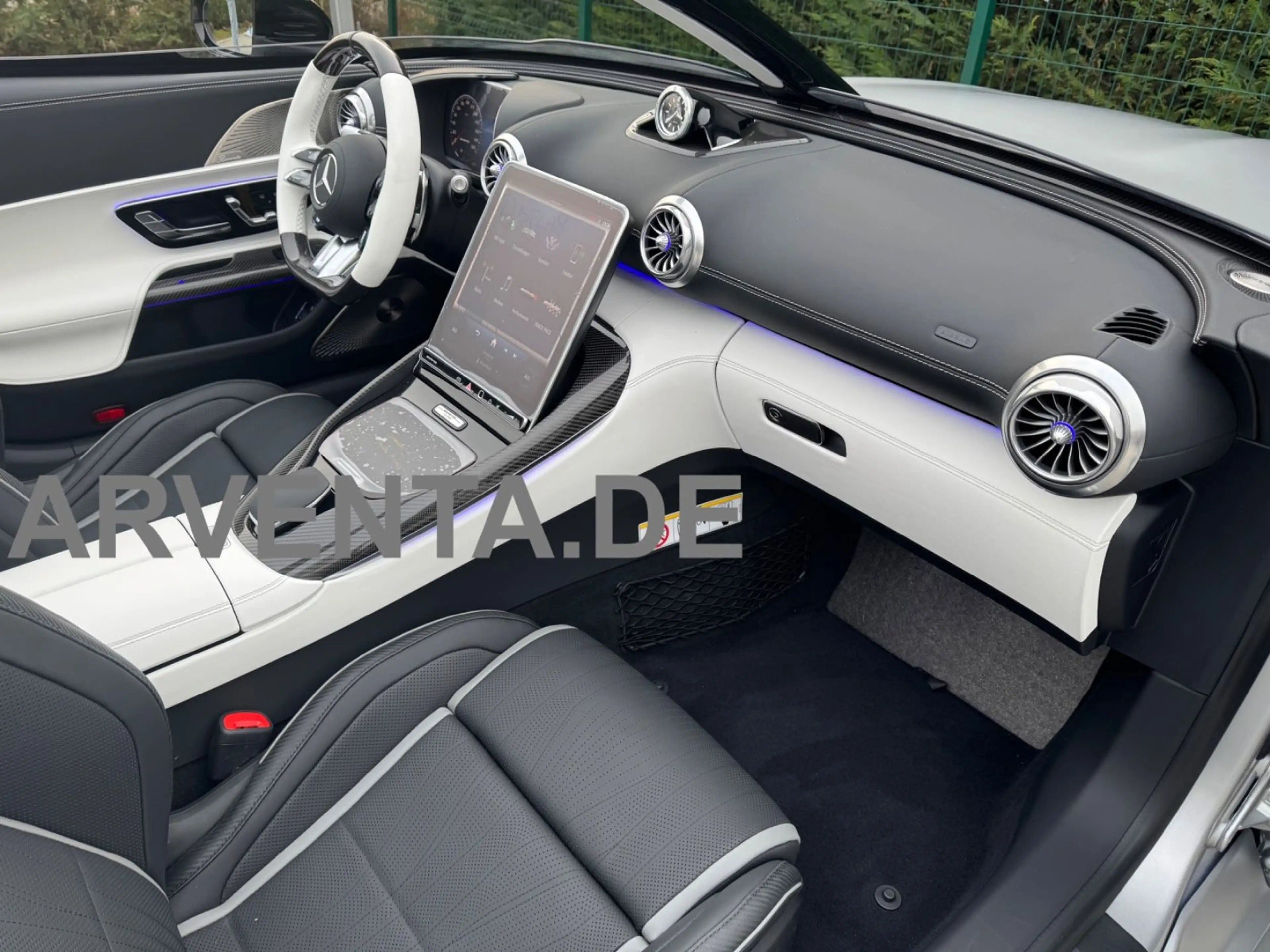 Mercedes-Benz SL 63 AMG AMG PURESPEED|MATT SILVER|1of250 LIMITED EDITION — photo 8