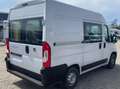 Fiat Ducato Fiat Ducato Camper | 2 Posti Letto | Cucina Wit - thumbnail 5