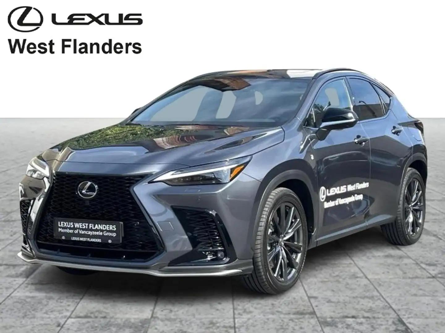 Lexus NX 450h+ F SPORT Line+360° camera+navi+ Grijs - 1