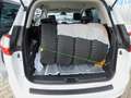 Ford Grand C-Max 2.0 TDCi Titanium Navi/Teilleder/PDC Alb - thumbnail 16