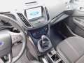 Ford Grand C-Max 2.0 TDCi Titanium Navi/Teilleder/PDC Alb - thumbnail 14