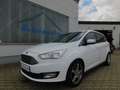 Ford Grand C-Max 2.0 TDCi Titanium Navi/Teilleder/PDC Alb - thumbnail 1