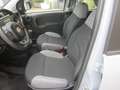 Fiat Panda 1.0 FireFly S&S Hybrid City Life Grigio - thumbnail 10