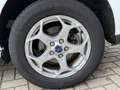 Ford Transit Connect 1.5 TDCI L2 Ambiente|AUTOMAAT|NAVI|PDC|EURO6 Wit - thumbnail 5