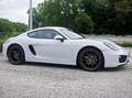 Porsche Cayman 981 Cayman 2.7i PDK - PCM - PDLS - Approved Blanc - thumbnail 3