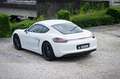 Porsche Cayman 981 Cayman 2.7i PDK - PCM - PDLS - Approved Blanc - thumbnail 2