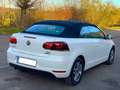 Volkswagen Golf Cabriolet 1.6 CR TDi 1eMain Cuir LED-Xénon GPS Wit - thumbnail 5