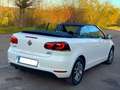 Volkswagen Golf Cabriolet 1.6 CR TDi 1eMain Cuir LED-Xénon GPS Wit - thumbnail 9