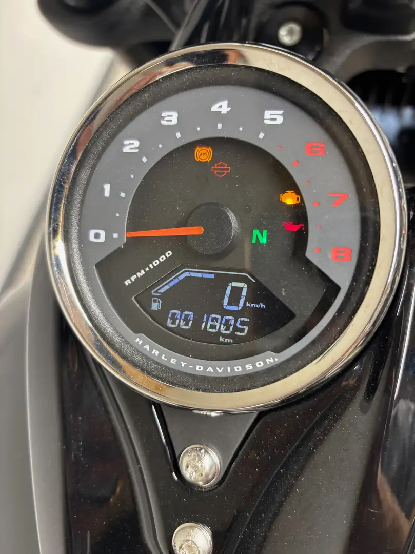 Harley-Davidson Softail Gris - 2
