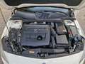 Mercedes-Benz A 180 CDI AMG Pakket Wit - thumbnail 12