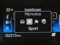 Ford Focus RS 2.3 * 4x4 * RECARO * SONY SOUND * GPS * Grau - thumbnail 14