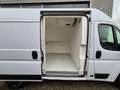 Fiat Ducato 2.3D Koelwagen Carrier Xarios 300 St 230V +20C/-20 Blanc - thumbnail 7