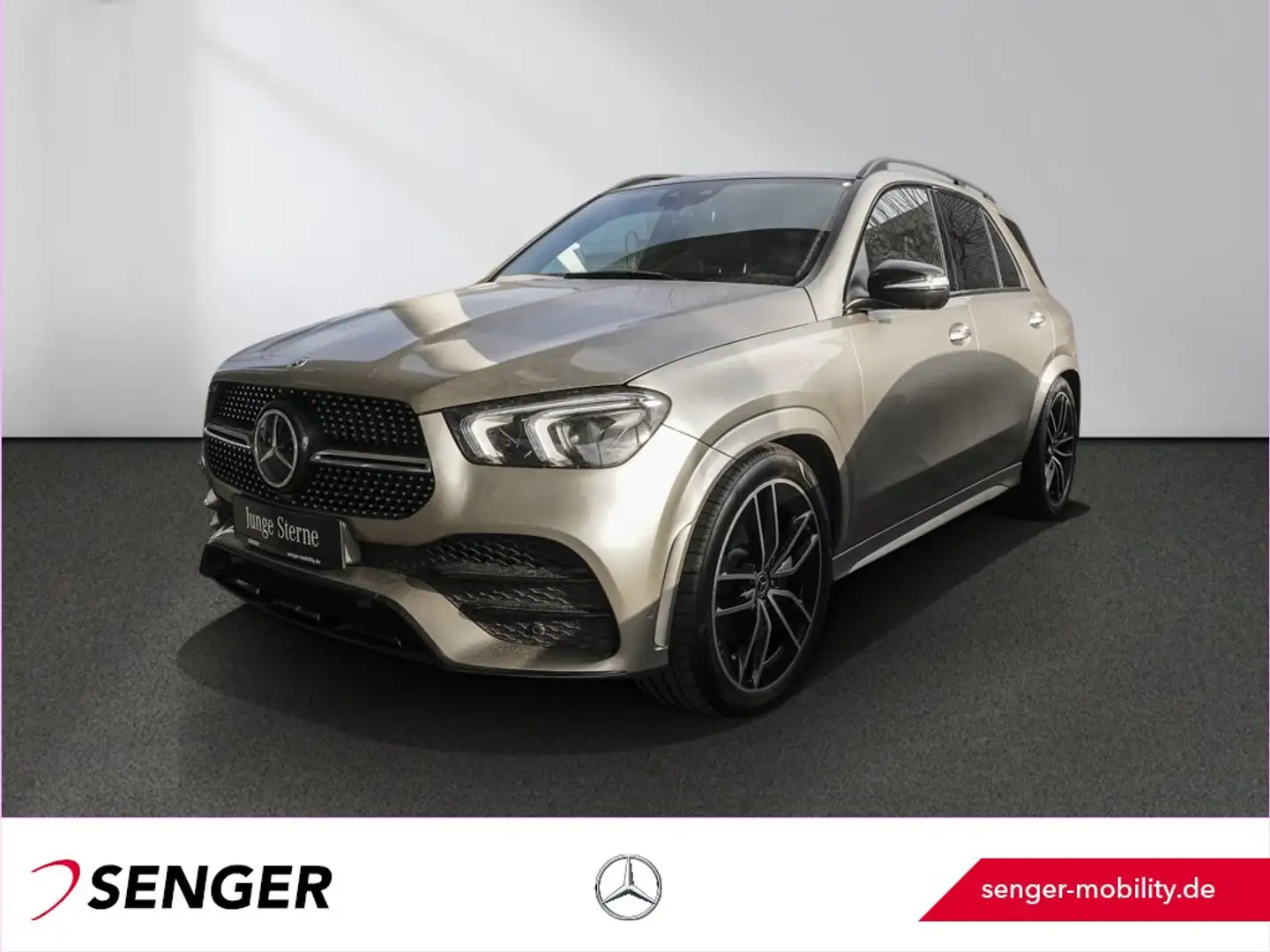 Mercedes-Benz GLE 400 d 4M AMG Night AHK Airmatic Panorama Silber - 1
