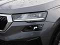 Skoda Sonstige Grau - thumbnail 15