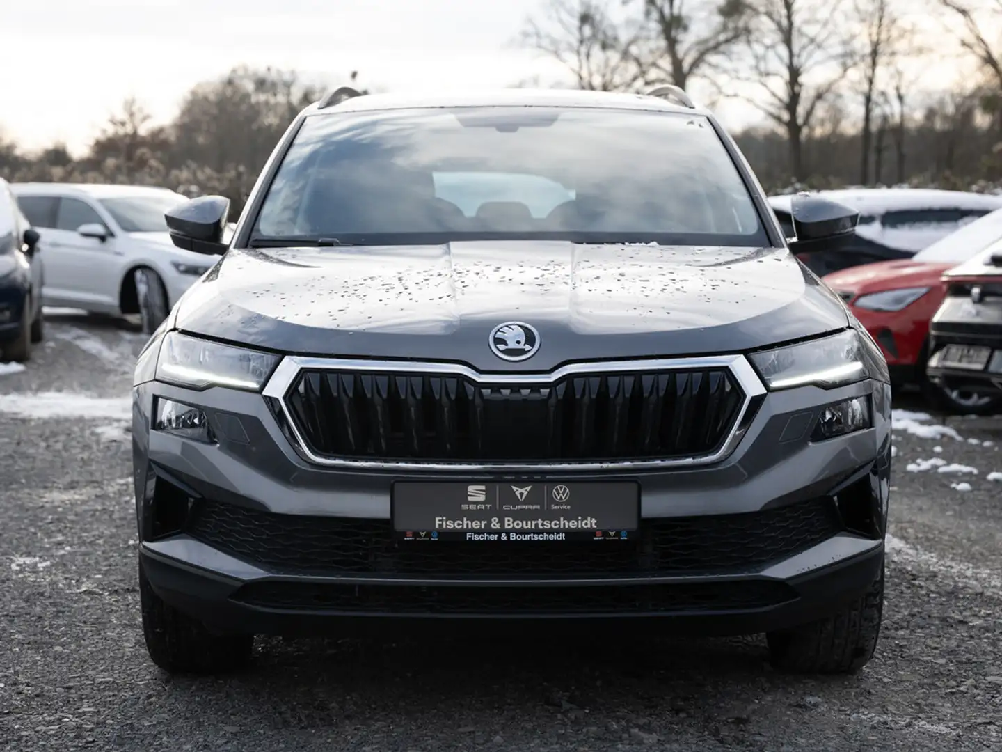 Skoda Sonstige Grau - 2