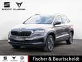 Skoda Sonstige Grau - thumbnail 1