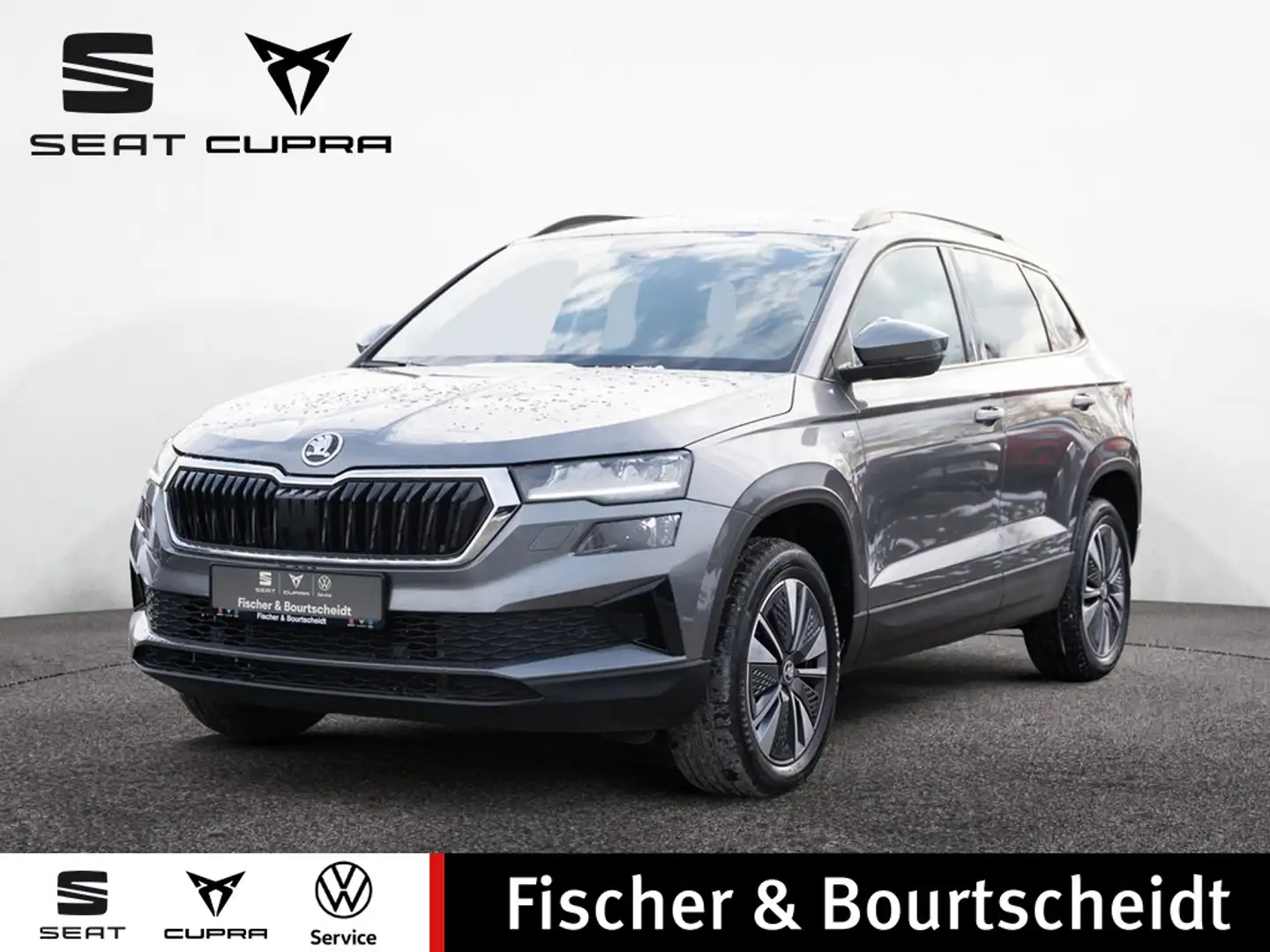 Skoda Sonstige Grau - 1