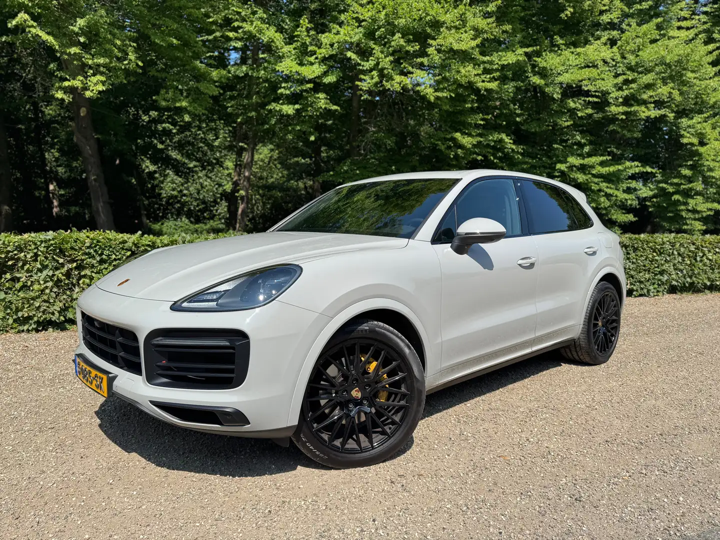 Porsche Cayenne Cayenne 3.0 E-Hybrid Platinum Edition, Pano, 360, Grijs - 1