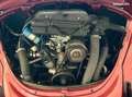 Volkswagen Coccinelle cabriolet 1600cc RESTAURATION COMPLÈTE GARANTIE 12 Wit - thumbnail 16