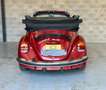 Volkswagen Coccinelle cabriolet 1600cc RESTAURATION COMPLÈTE GARANTIE 12 Blanc - thumbnail 5