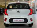 Kia Picanto 1.0 12V 5p. Style *TELECAMERA*APPLE-ANDROID* Bianco - thumbnail 5