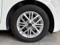 Kia Picanto 1.0 12V 5p. Style *TELECAMERA*APPLE-ANDROID* Bianco - thumbnail 7
