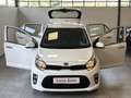 Kia Picanto 1.0 12V 5p. Style *TELECAMERA*APPLE-ANDROID* Bianco - thumbnail 1