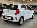 Kia Picanto 1.0 12V 5p. Style *TELECAMERA*APPLE-ANDROID* Bianco - thumbnail 4