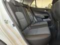 Kia Picanto 1.0 12V 5p. Style *TELECAMERA*APPLE-ANDROID* Bianco - thumbnail 15
