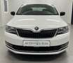 Skoda Rapid/Spaceback Rapid 1,4 TDI Sport DSG *CarPlay*Tempomat*DAB* Weiß - thumbnail 14