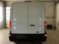 Ford Transit 350 L3H2 Trend 2.0 TDCi 105PS-DAB-Tempomat-behe... Weiß - thumbnail 5