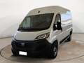 Fiat Ducato 35 2.2 Mjt 140CV PM-TM Furgone Wit - thumbnail 1