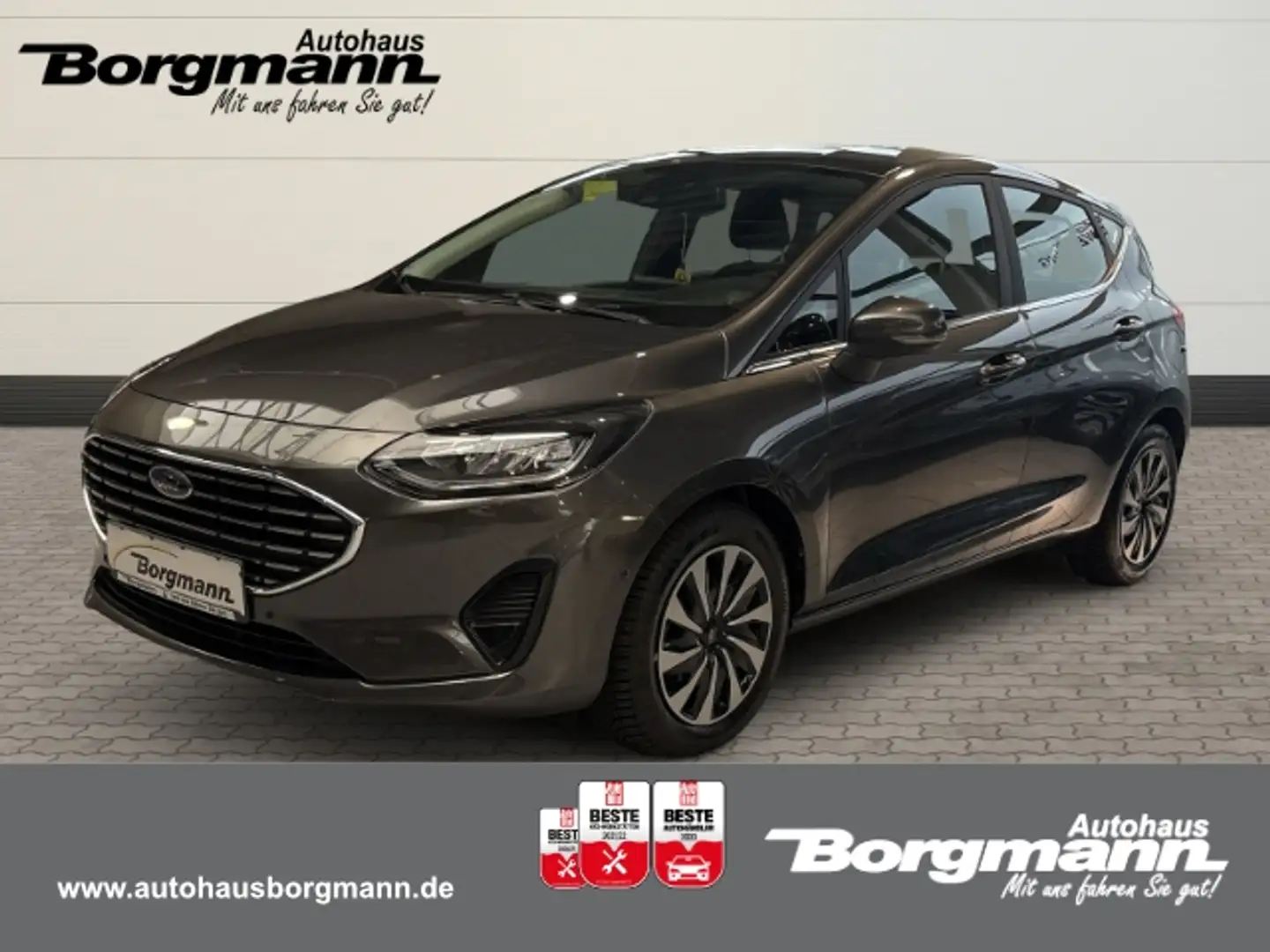 Ford Fiesta Titanium LED Klimaautom DAB Ambientebeleuchtung SH Gris - 1