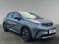 BYD Dolphin Comfort MY2025 Grau - thumbnail 7