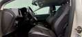 SEAT Leon Xcellence 1,4 TSI Start-Stopp Pickerl 1/2027+4 Weiß - thumbnail 12