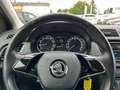 Skoda Fabia Combi Ambition 1,0 TSI | PDC Weiß - thumbnail 16