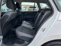 Skoda Fabia Combi Ambition 1,0 TSI | PDC Weiß - thumbnail 14