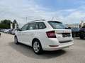 Skoda Fabia Combi Ambition 1,0 TSI | PDC Weiß - thumbnail 5