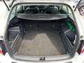 Skoda Fabia Combi Ambition 1,0 TSI | PDC Weiß - thumbnail 15