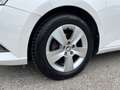 Skoda Fabia Combi Ambition 1,0 TSI | PDC Weiß - thumbnail 30