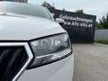 Skoda Fabia Combi Ambition 1,0 TSI | PDC Weiß - thumbnail 29