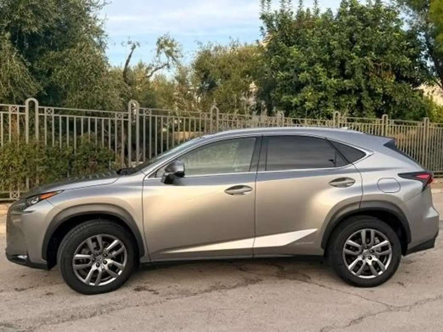Lexus NX 300 NX I 2014 300h 2.5 Executive 2wd cvt Grigio - 2