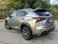Lexus NX 300 NX I 2014 300h 2.5 Executive 2wd cvt Grigio - thumbnail 3
