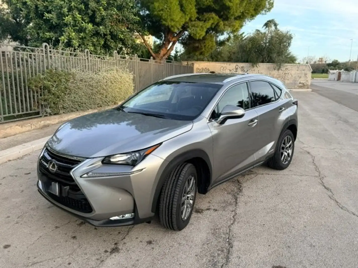 Lexus NX 300 NX I 2014 300h 2.5 Executive 2wd cvt Grigio - 1