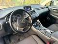 Lexus NX 300 NX I 2014 300h 2.5 Executive 2wd cvt Grigio - thumbnail 9