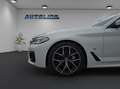 BMW 530 D xDrive M-Paket *PANO* *HEAD-UP* *LED* *KAMERA* Wit - thumbnail 9